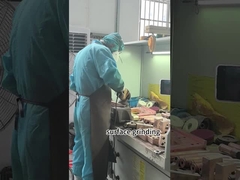 cánh tay điện cực